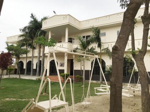 Swings for Kids