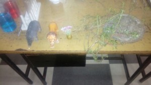Biology Lab